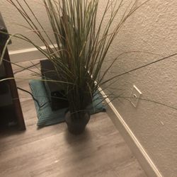 Fake Plant From IKEA 