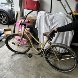 Gold Cruiser Bike  