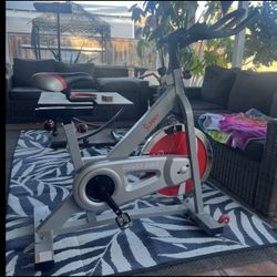 Sunny Exercise Bike