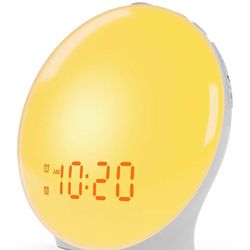 Wake Up Light Sunrise Alarm Clock for Kids, Heavy Sleepers, Bedroom, with Sunrise Simulation, Sleep Aid, Dual Alarms, FM Radio, Snooze, Nightlight, Da
