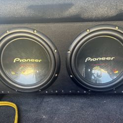 12inch Pioneer Champion Series