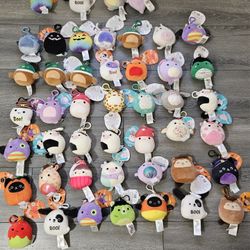 HUGE Squishmallows Clip Bundle (40+ Pieces) - NWT / Mint Condition