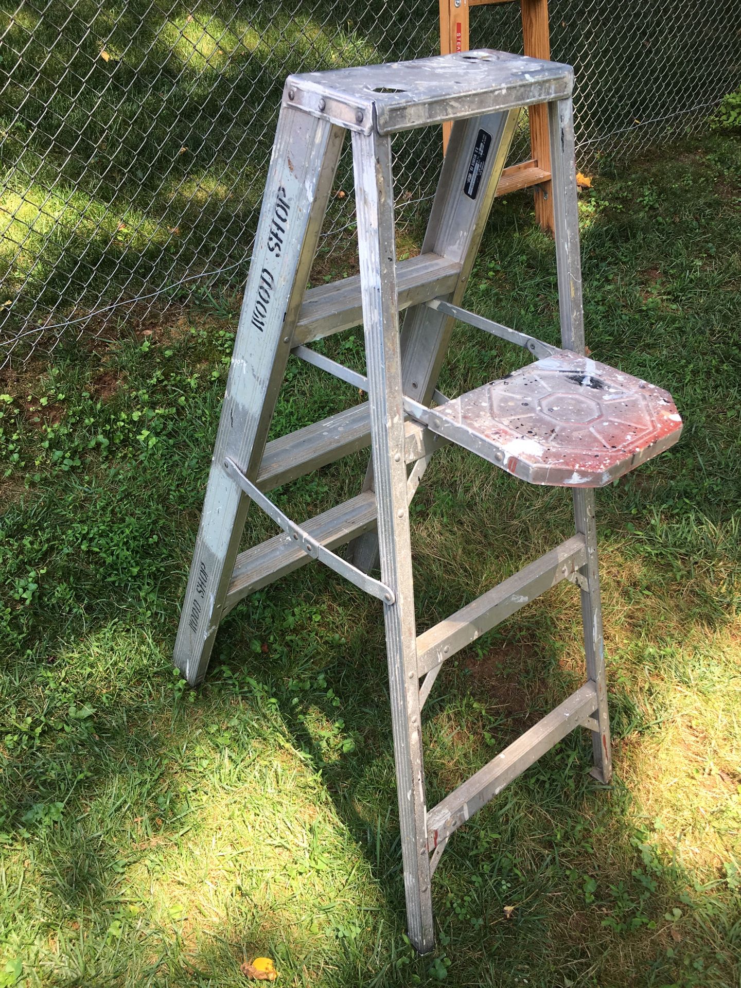 Werner 4’ Aluminum Ladder