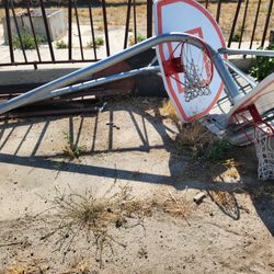 Basketball Hoops 