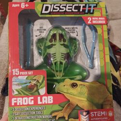 Frog Lab Activity 