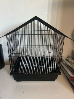 Small birdcage