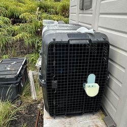 Large Dog Kennel 
