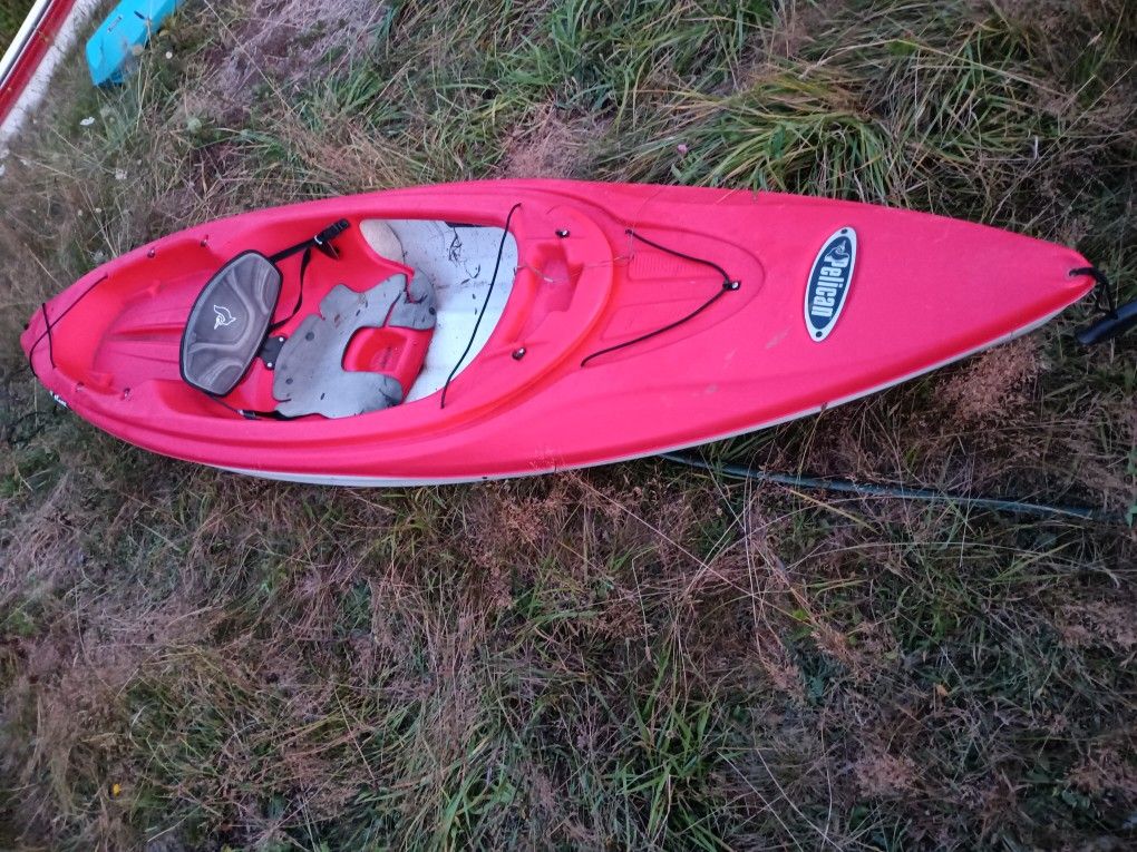 Adult Kayak