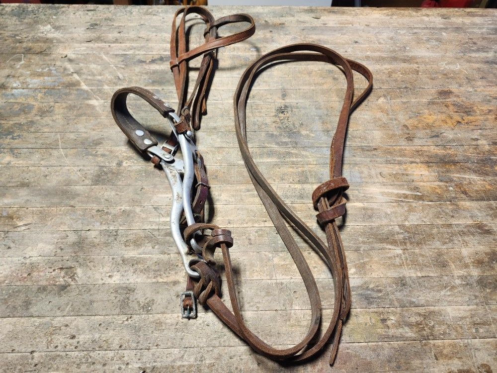 Bridle