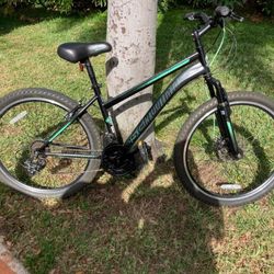 Men's sales schwinn sidewinder