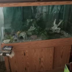Fish Tank And Base