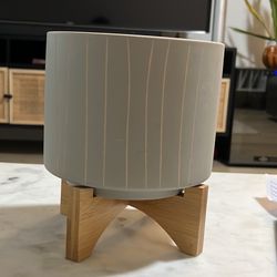 Plant Pot