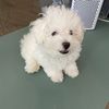 Winnie