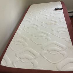 Uplift Elderly Bed 