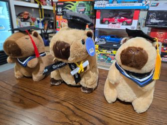 GRADUATION CAPYBARAS
