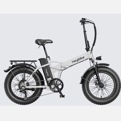 E bike