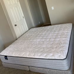 KING SEALY MATTRESS AND FREE BOX SPRINGS 