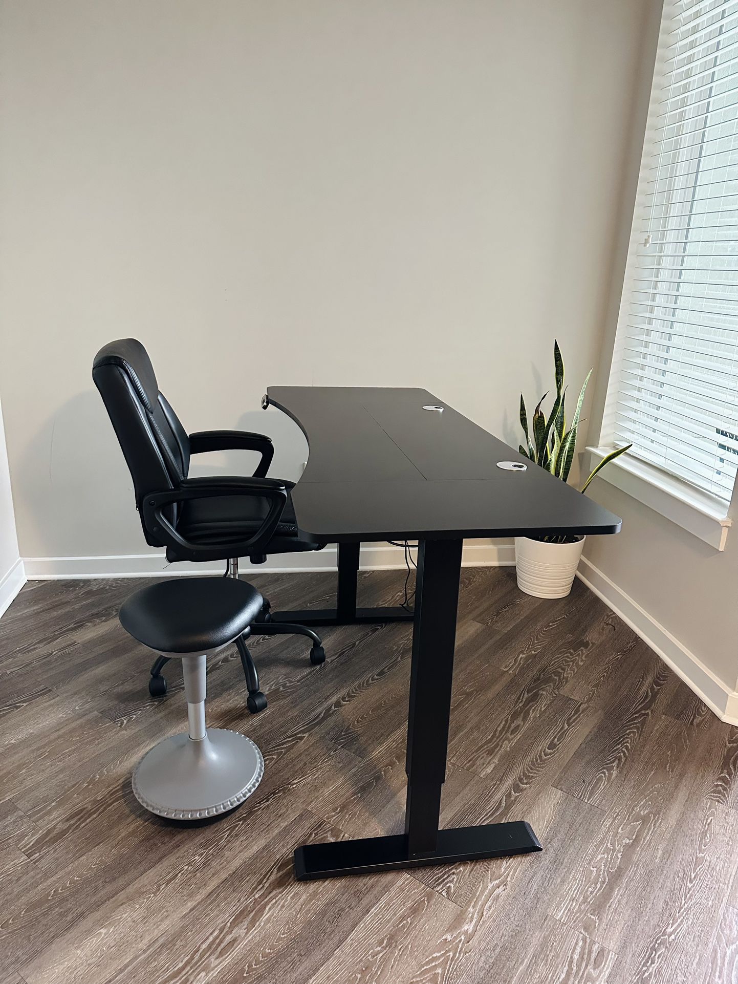 BIG Electric Standing Desk - Perfect for Two (Excellent Condition) 