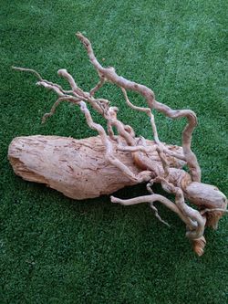 4 piece driftwood for aquariums terrariums decor