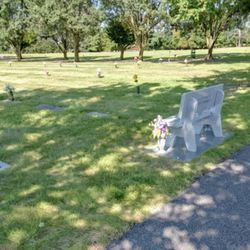 Cemetery Plots,  Limerick Gardens Cemetery 