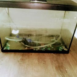Fish X Turtle 🐢 Tank
