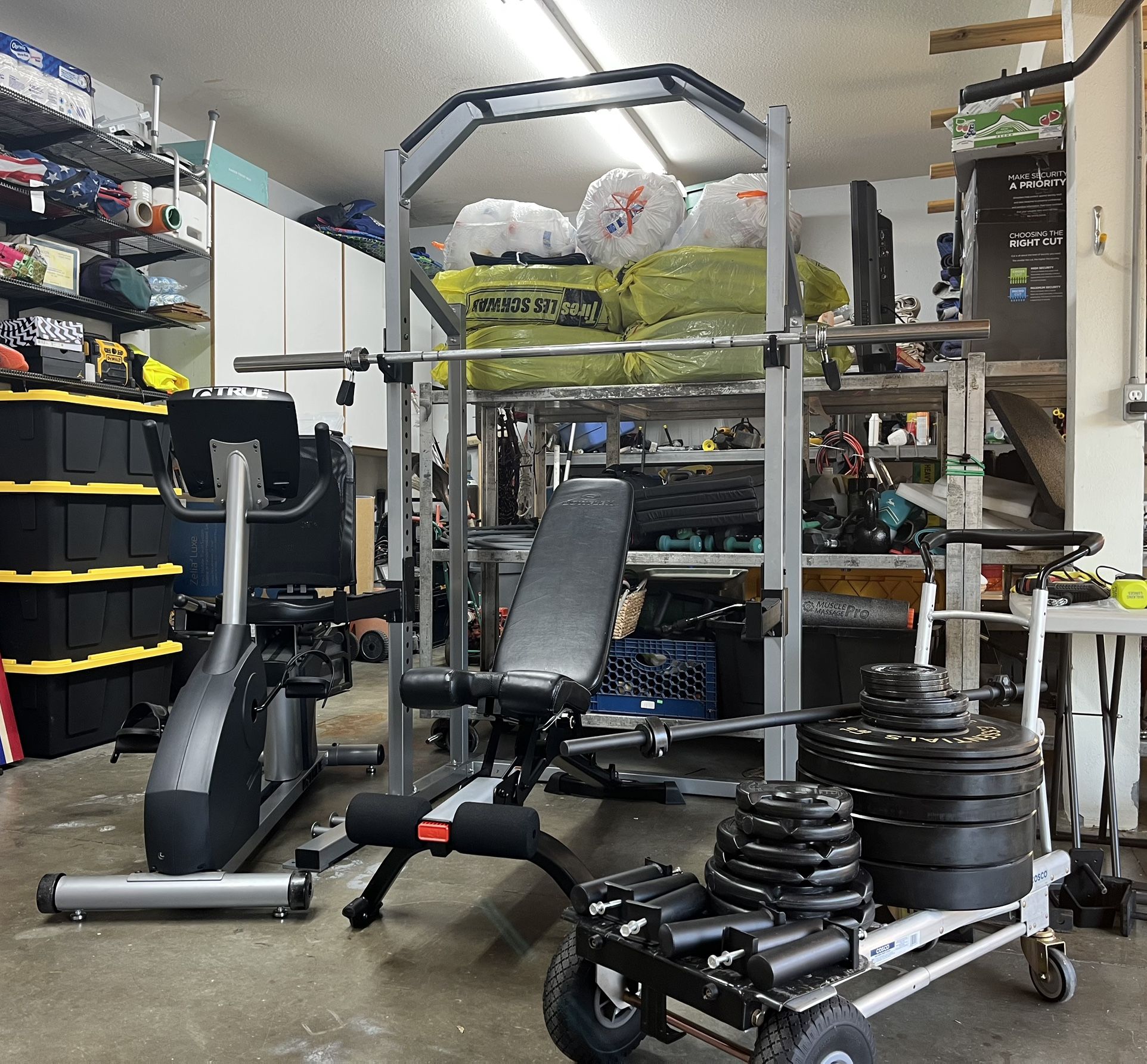 Complete Home Gym Olympic Weights Squat Rack Adjustable Bench True Fitness Ps50 (Delivery Available)