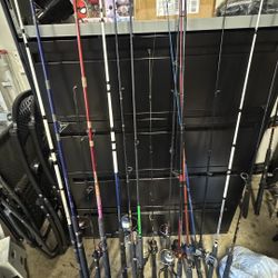 fishing rods and reels