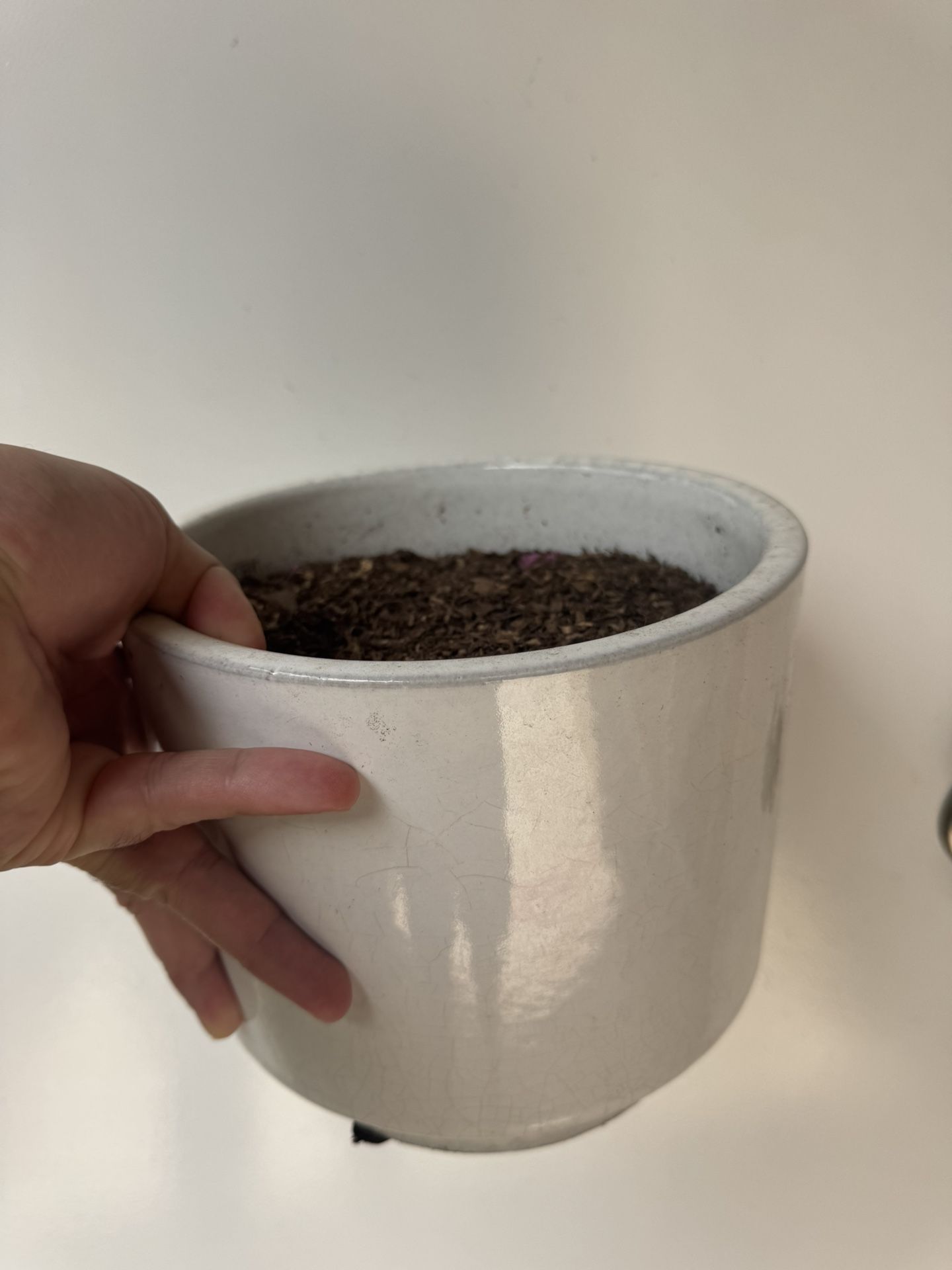 Flower Pot 