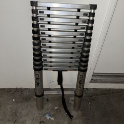 Telescoping ladder