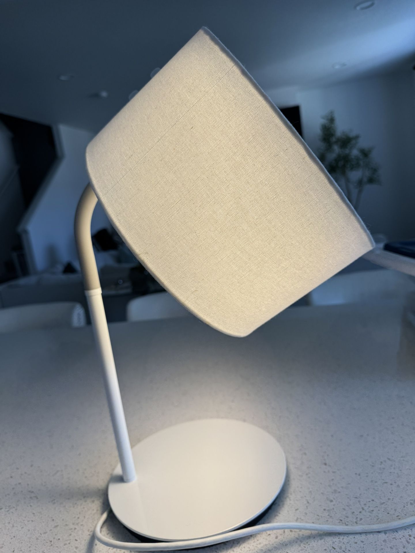 Desk Lamp