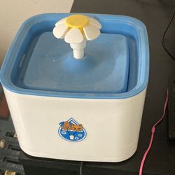 Cat fountain