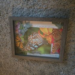 Wooden With Glass Framed Artwork