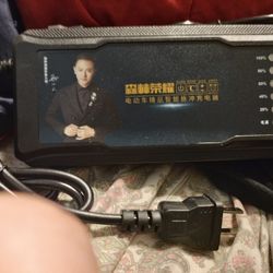 Senlin Rongyao Electric Vehicle Smart Pulse Charger