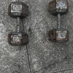 60lb Dumbbells 