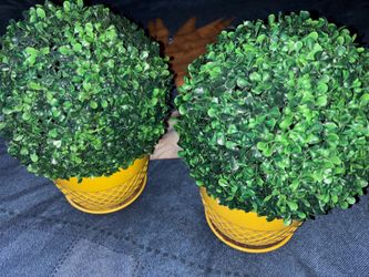 Faux matching bushes