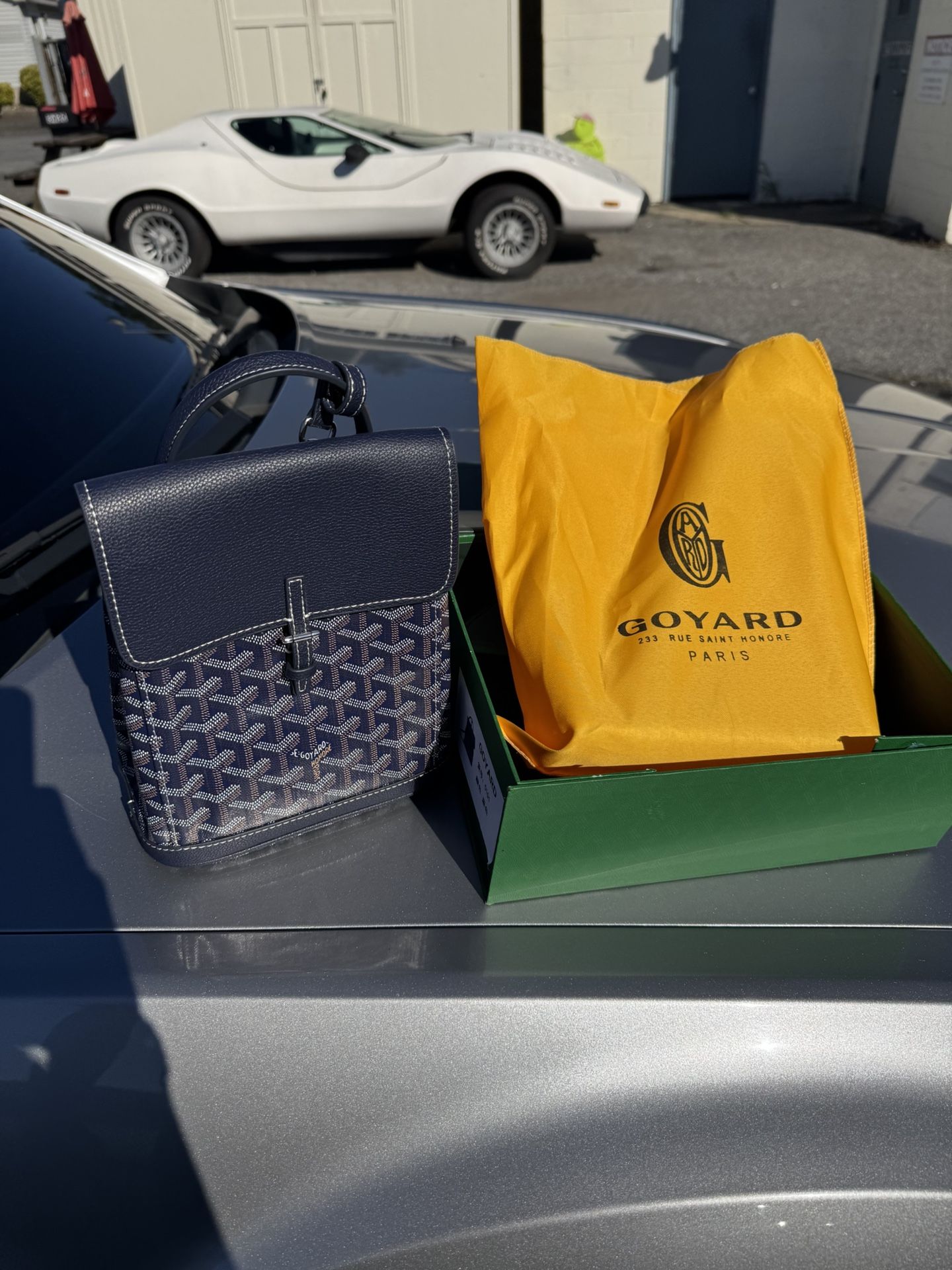 female goyard bag
