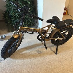 Electric Bike