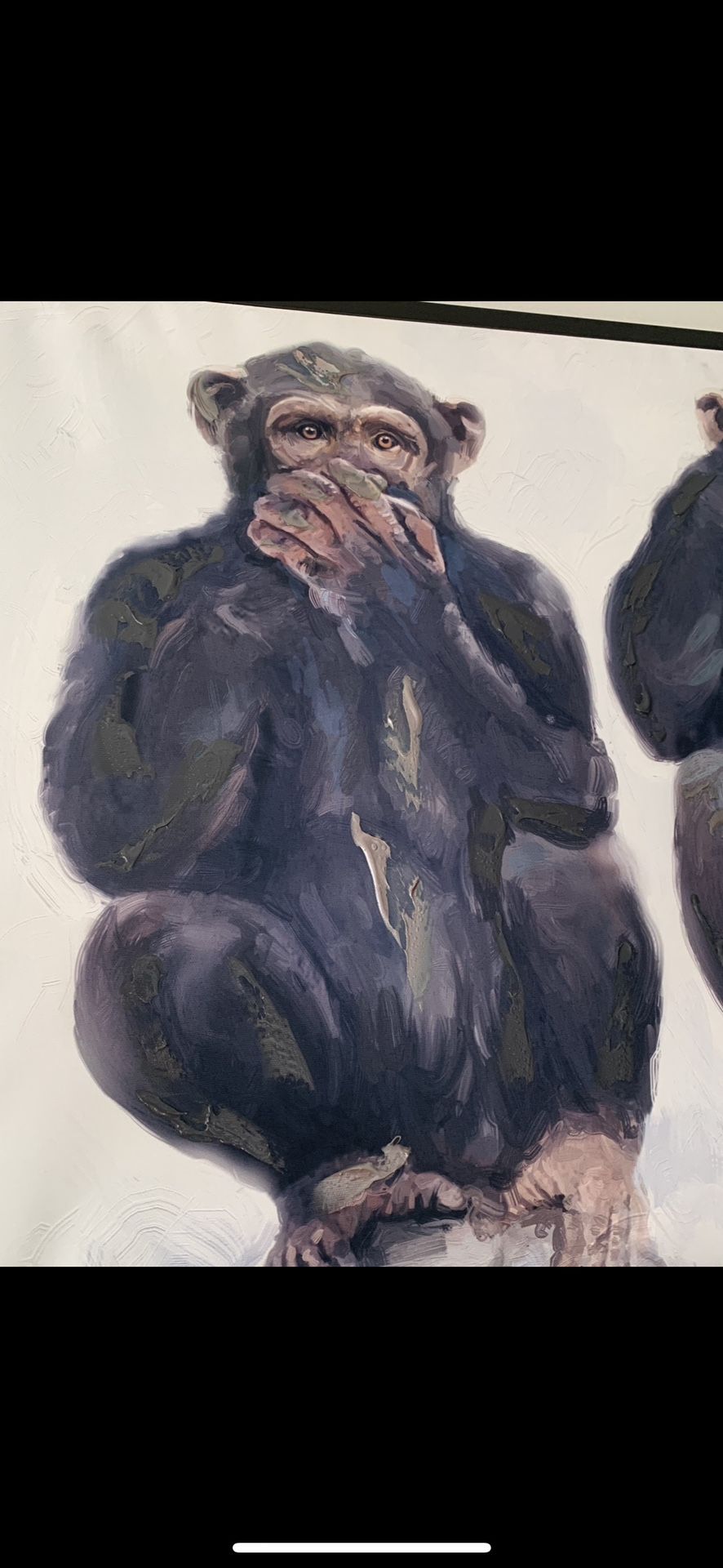 43x23 Appx Three Wise Monkeys See No Evil Hear No Evil Speaks no Evil Reflective Paint