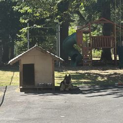 Dog House 
