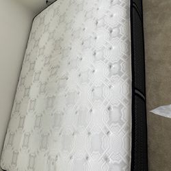 Sealy Mattress Queen Size