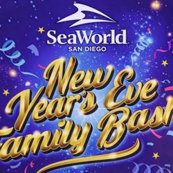 🎄🎅🐬 CHRISTMAS MAGIC IS HAPPENING AT SEAWORLD SAN DIEGO! 🎟️🎟️🎟️