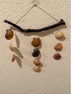 Wall hanging driftwood coastal decor seashells 9” w x 12” long