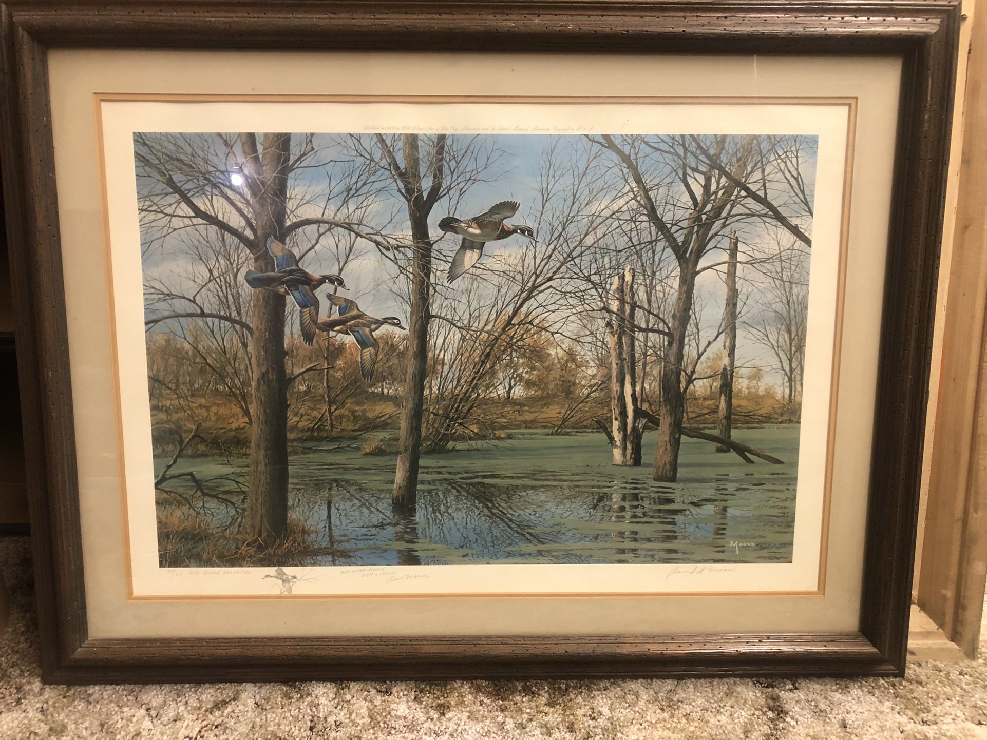 David Maass Art