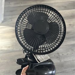 Small Fan 