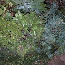 42" Round Glass Tabletop 3/8" Thick Good Condition No Chips Or Cracks Table Top Circular 