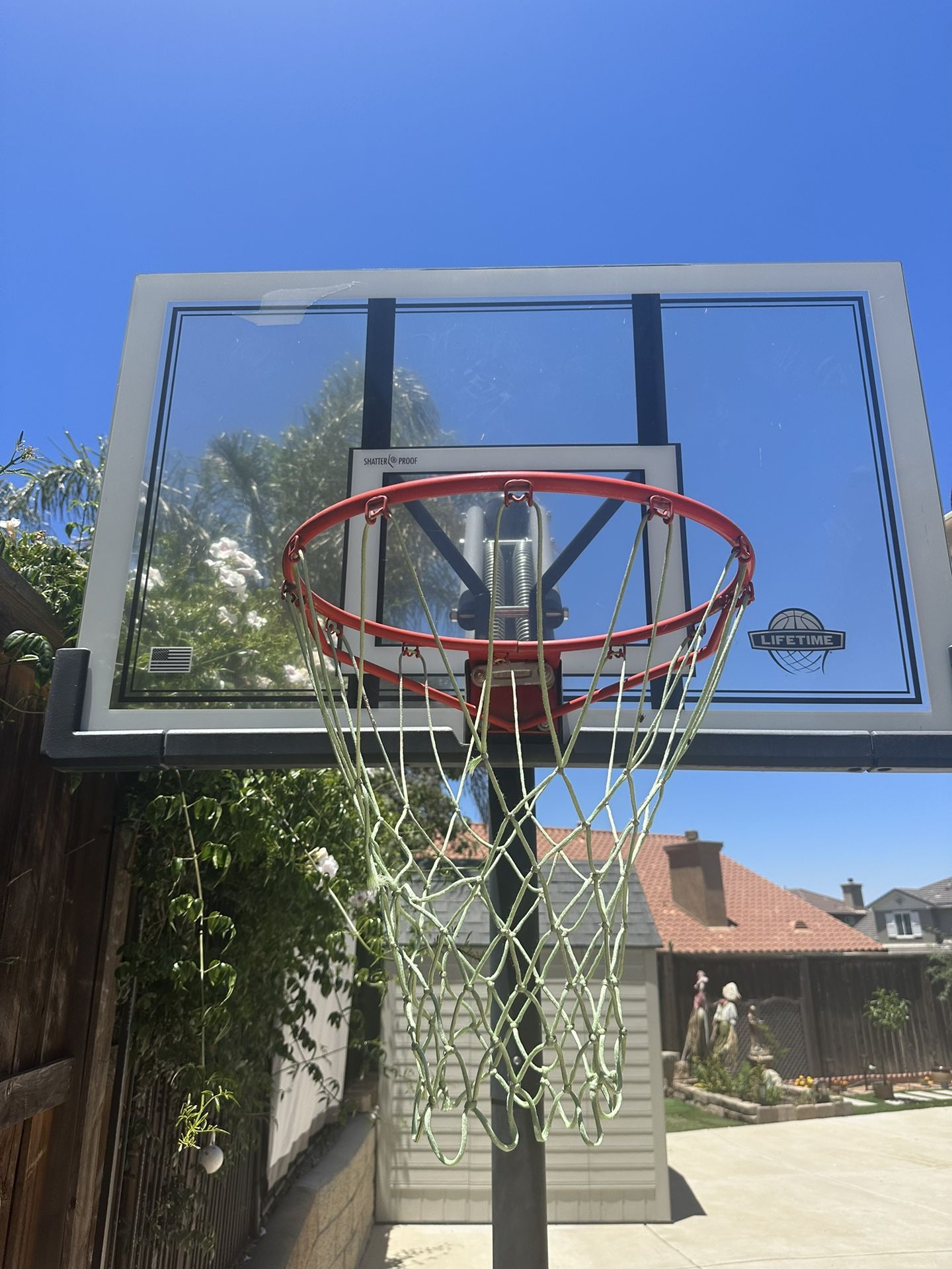 Lifetime Regulation Basketball Hoop for Sale in Wildomar, CA OfferUp