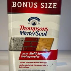 Thompson's WaterSeal Flat Clear Multi-Surface Waterproofer 1.2 gal