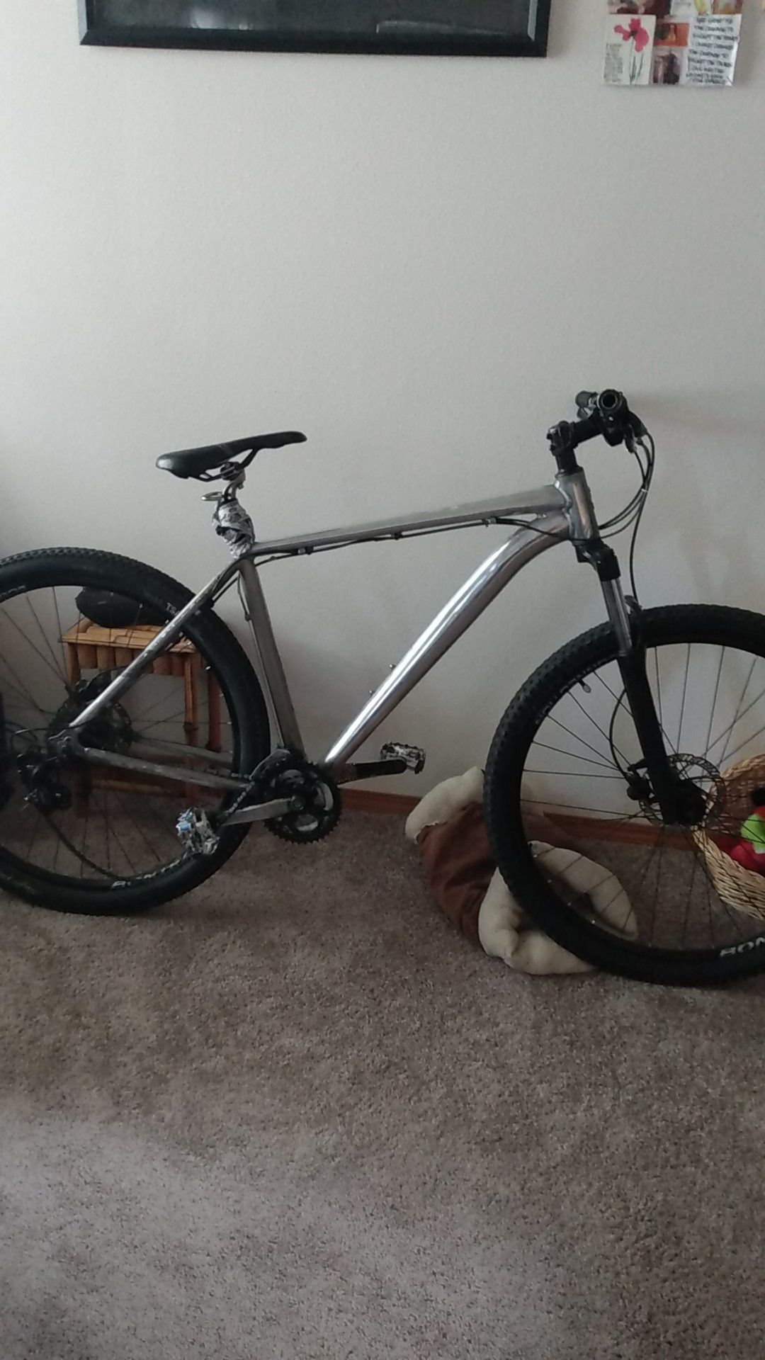Custom mountain bike