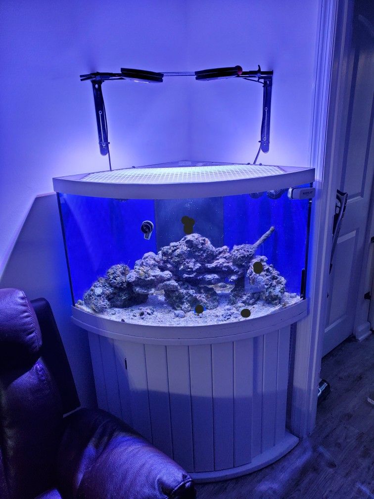 55 Gal