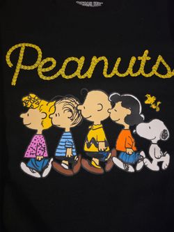 Peanuts and the Gang Sweatshirt (L)